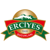 Kayseri Ev Mantısı